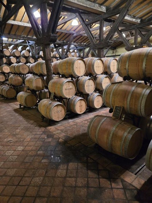 wine-barrels