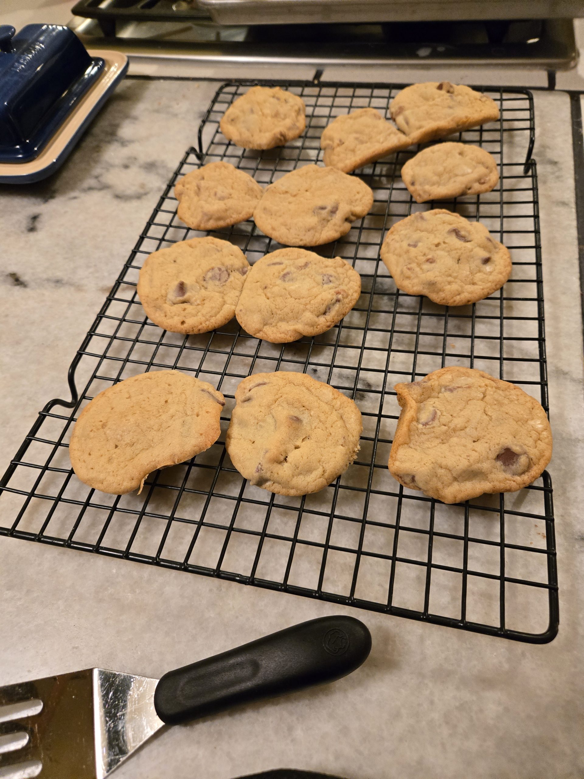 Superb Chocolate Chip Cookies